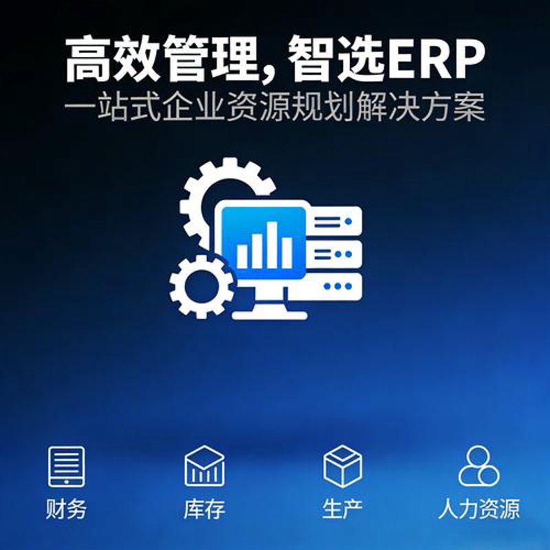 软件定制开发：构建您专属的信息化翅膀